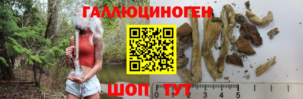Галлюциногенные грибы Psilocybine cubensis Дзержинский