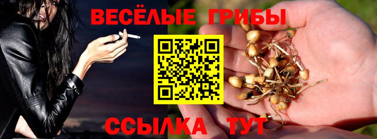 Галлюциногенные грибы мицелий  Галлюциногенные грибы мицелий  Дзержинский  Вход с VPN 